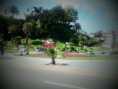 /album/fotogaleria-inicio/sam-8498-jpg/